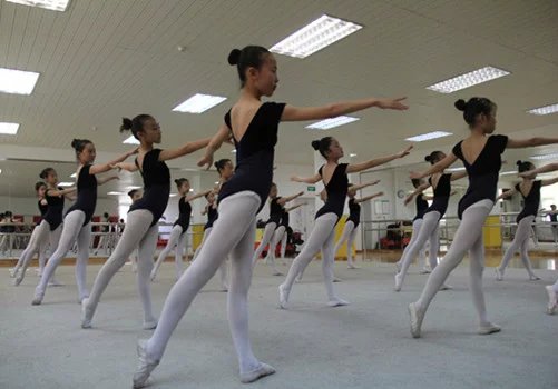 舞蹈地膠價(jià)格演繹用戶(hù)實(shí)用主義新高度