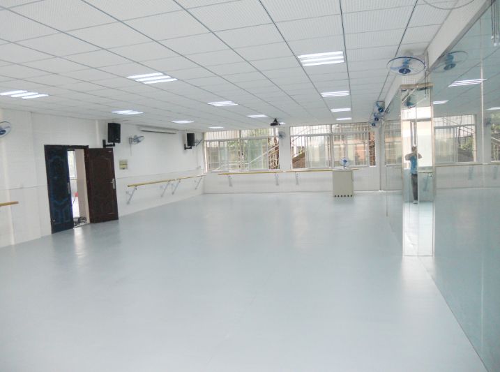 pvc地膠廠家談小丑進口舞蹈地膠產品特點