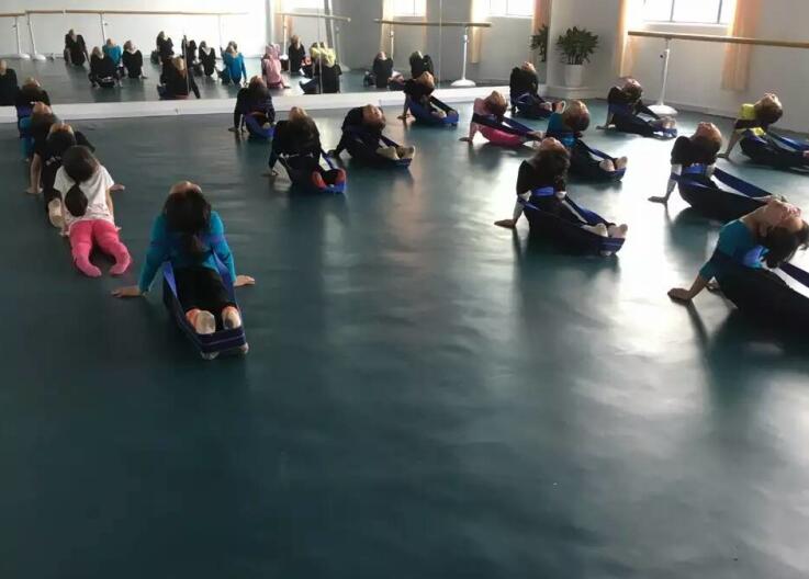 舞蹈室地膠--湖北孝感漢川陳倩倩舞蹈中心成功案例