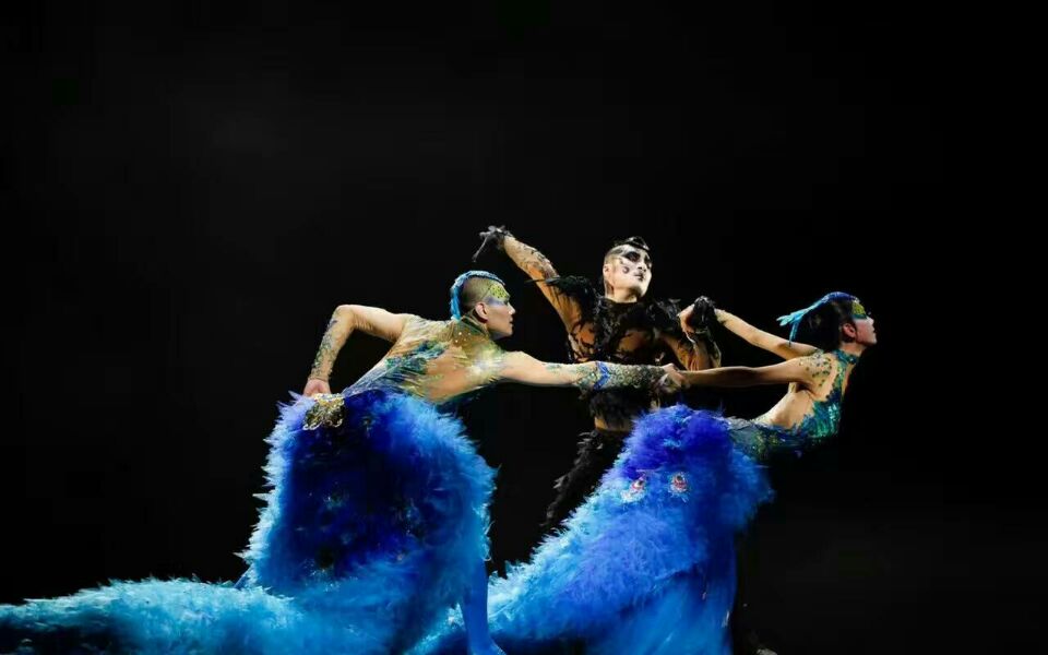 舞臺地膠--黃山楊麗萍舞臺劇巡演舞臺鋪設(shè)成功案例