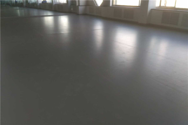 舞蹈地膠--鄂爾多斯竇興藝術培訓中心成功案例
