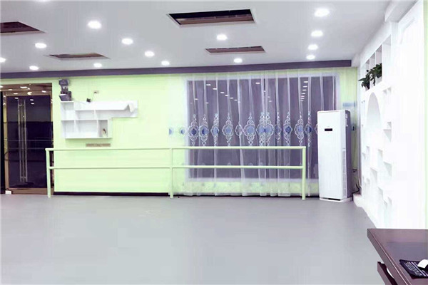 舞蹈地膠--河南尉氏縣藝凡舞蹈學校成功案例