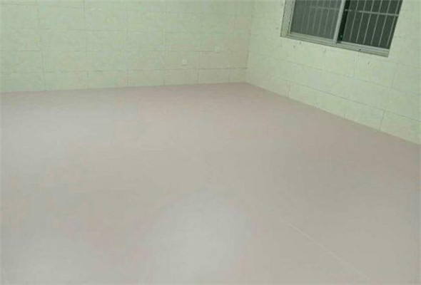 舞蹈地膠--山東臨沂平邑蒙陽新星學(xué)校成功案例