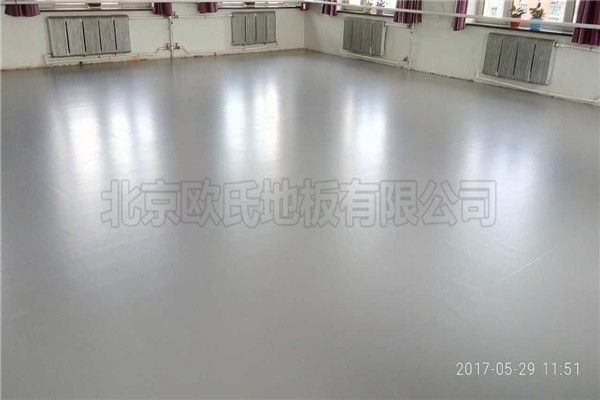 舞蹈地膠--內(nèi)蒙林業(yè)文工團成功案例