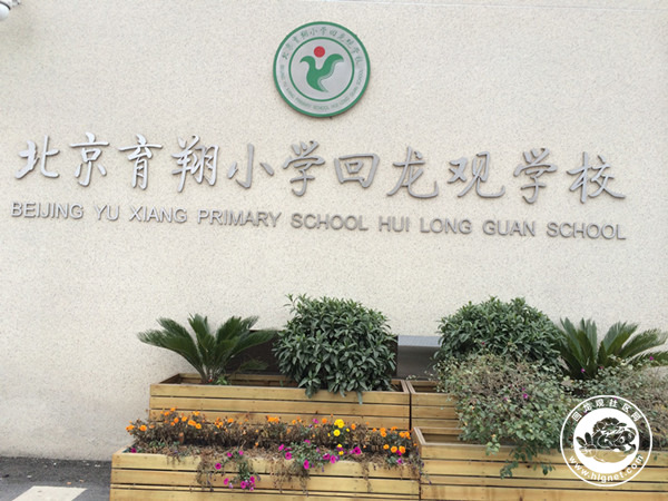 舞蹈地膠,舞蹈地板,舞蹈室地膠