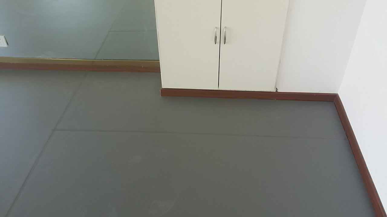 舞蹈地膠,舞蹈室地膠,舞蹈地板