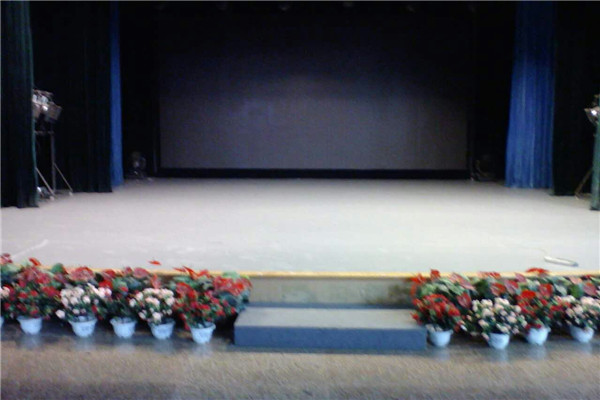 舞蹈地膠,舞臺地膠