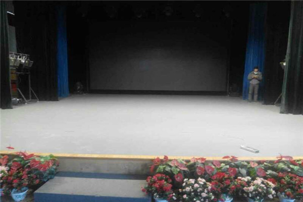 舞蹈地膠,舞臺地膠